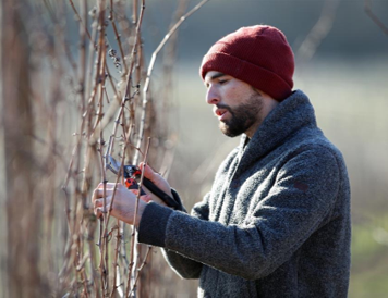 ドメーヌ オステルタッグ Domaine Ostertag